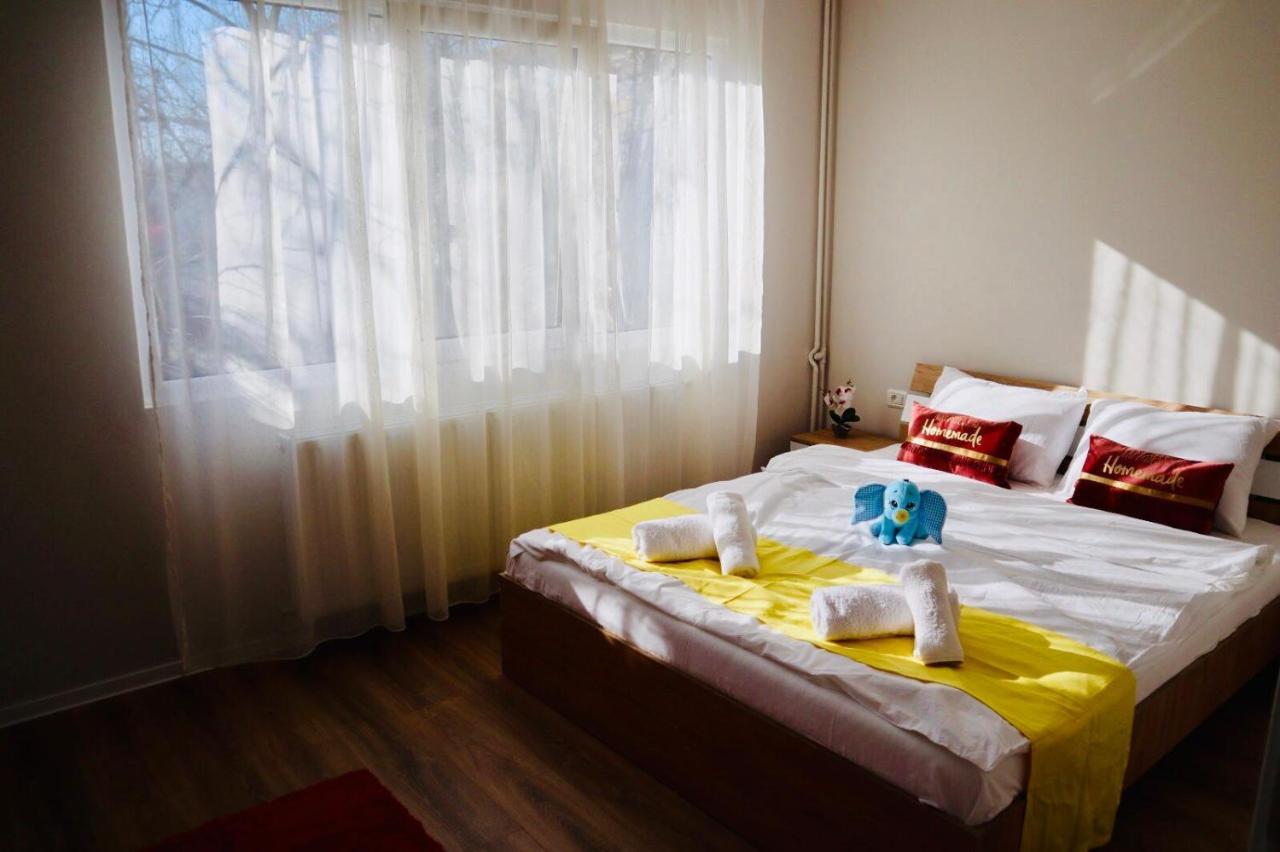 Joy City Stay Iasi 10 蒂米什瓦拉 外观 照片