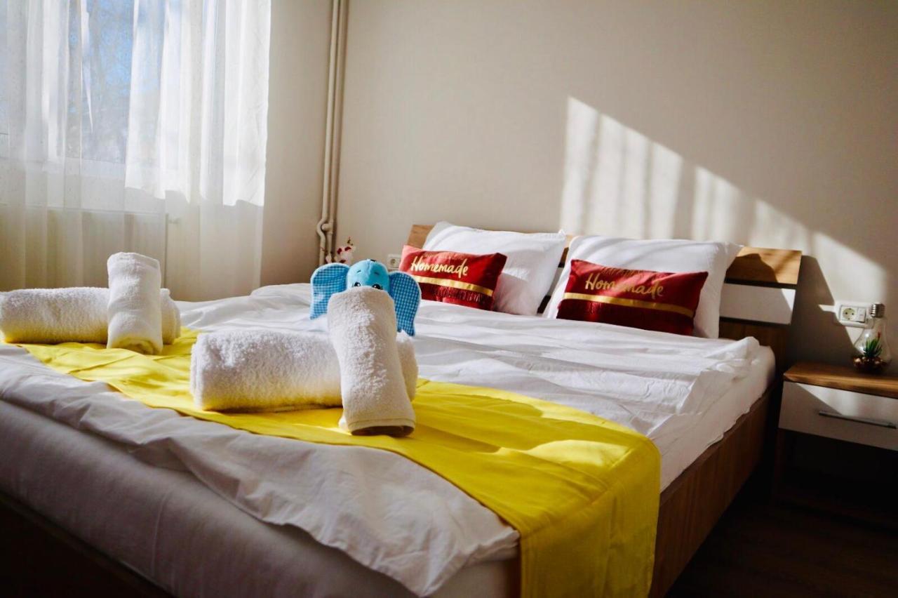 Joy City Stay Iasi 10 蒂米什瓦拉 外观 照片